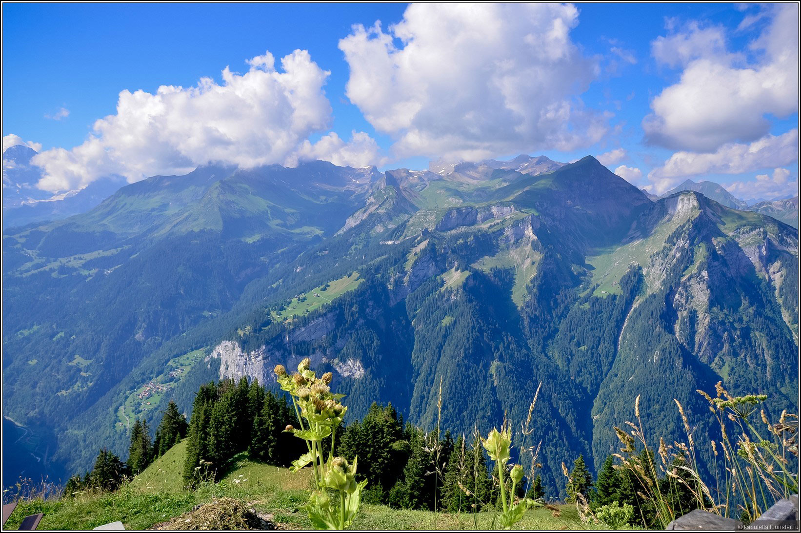 Schynige Platte (Wilderswil)